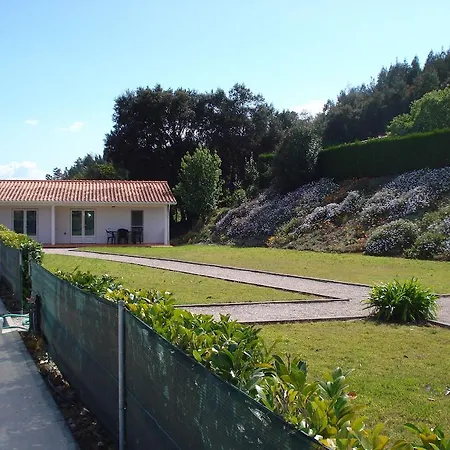 Apartment Portucampo Penacova